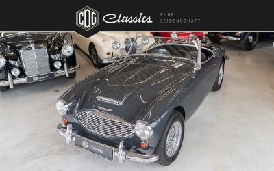 Austin Healey 100/6 BN6  1