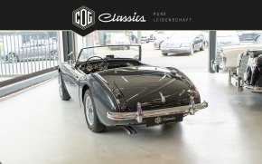 Austin Healey 100/6 BN6  12