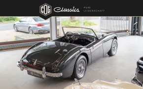Austin Healey 100/6 BN6  17