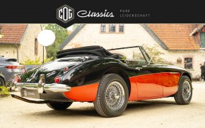 Austin Healey 3000 MK3  12