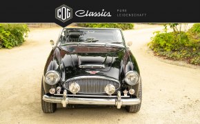 Austin Healey 3000 MK3  15