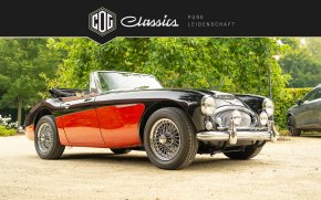 Austin Healey 3000 MK3  14