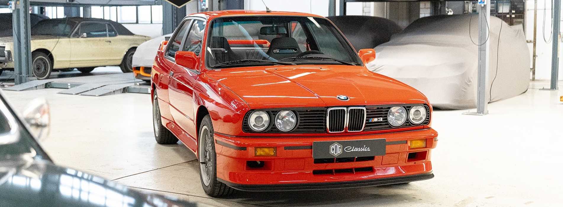 BMW M3 E30 Sport Evolution  6