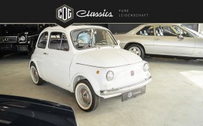 Fiat 500L 19