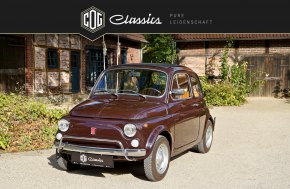Fiat 500L (Luxus) 17