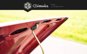 Fiat Panda Young Typ 141 40