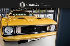 Ford Mustang Mach 1 5