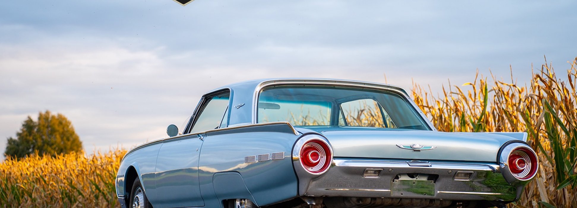 Ford Thunderbird 