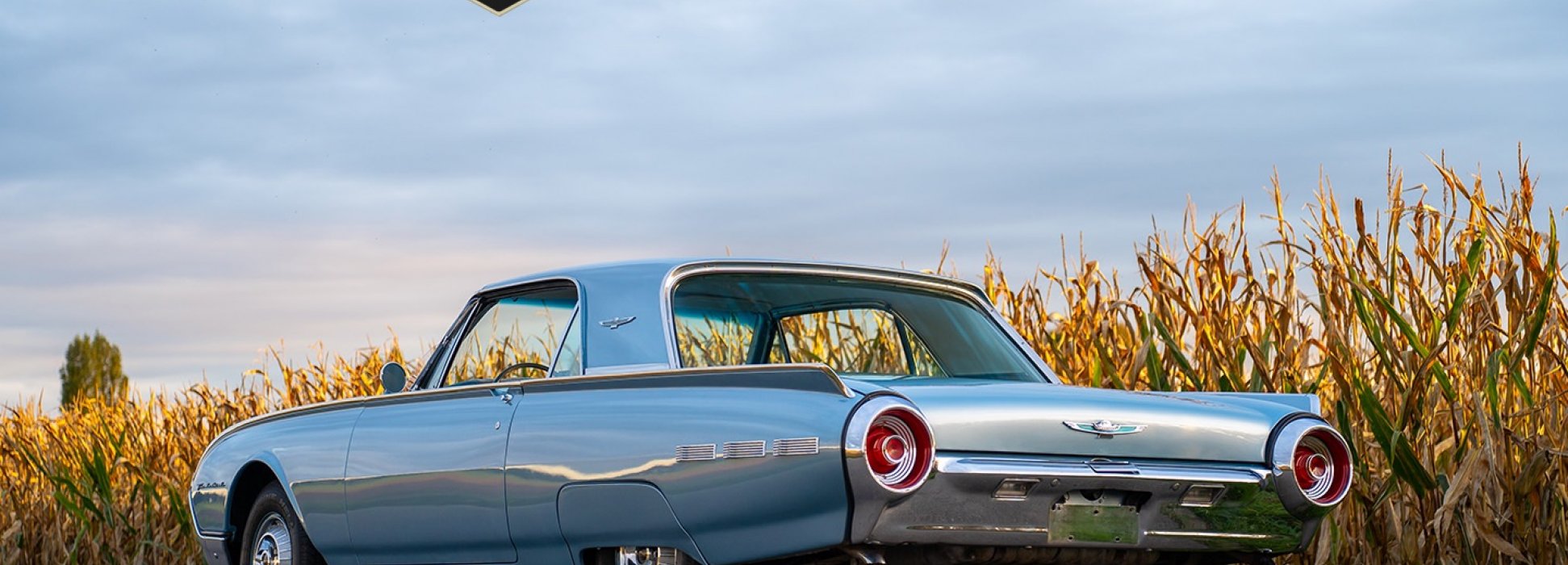 Ford Thunderbird 