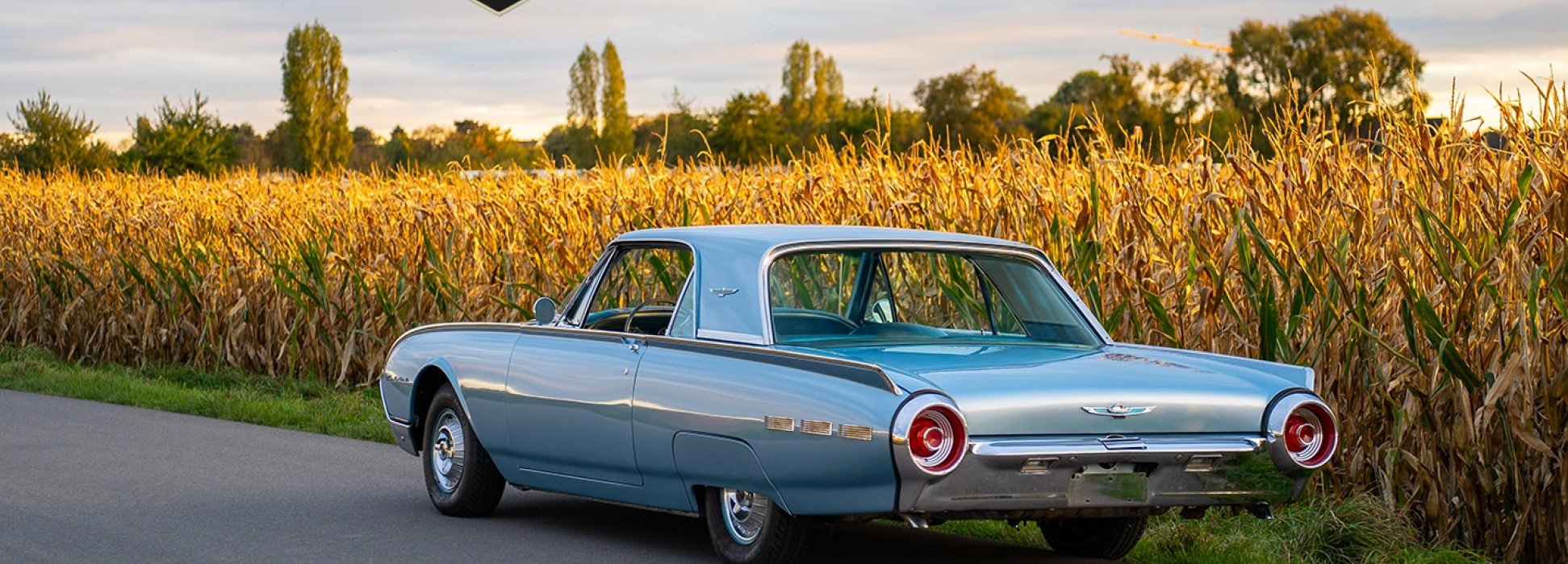 Ford Thunderbird 