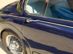 Jaguar Daimler V8  22