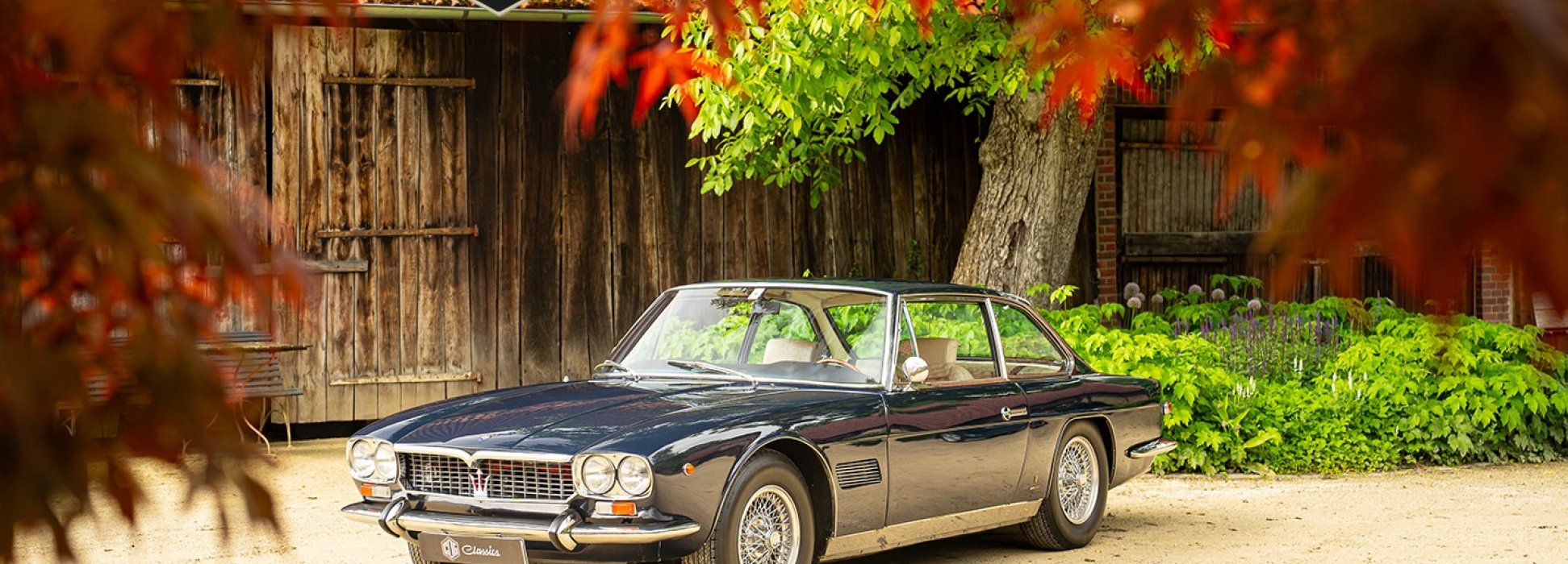 Maserati Mexico 7