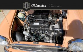 MINI 1001 Innocenti 43