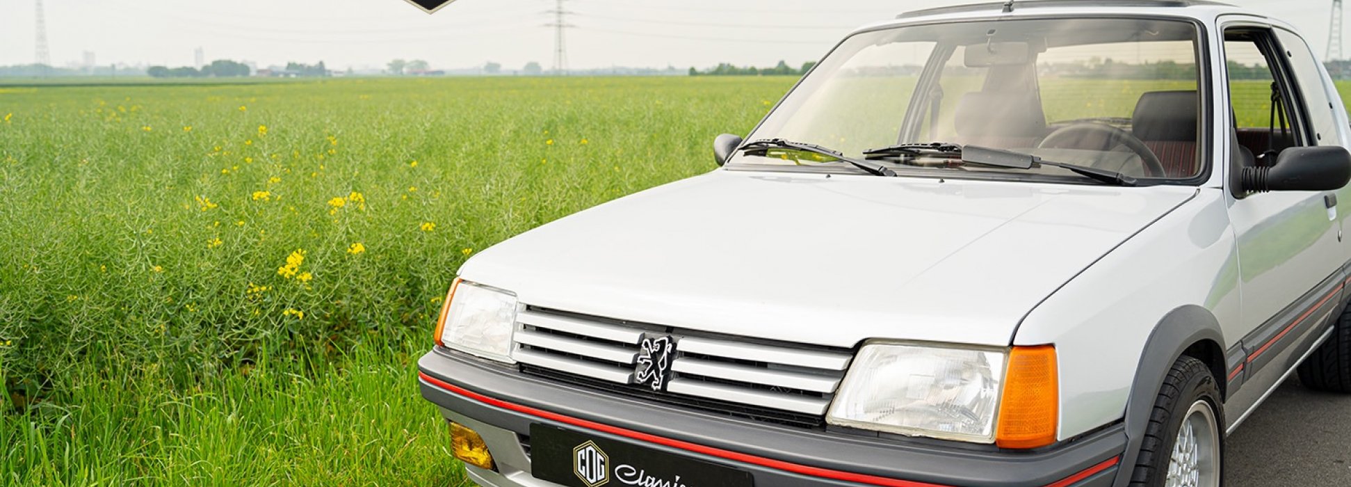 Peugeot 205 GTI  6