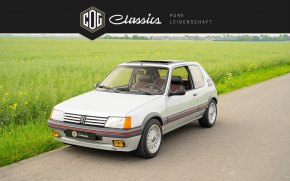 Peugeot 205 GTI  7