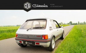 Peugeot 205 GTI  15