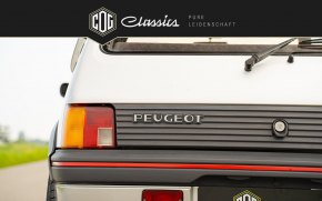 Peugeot 205 GTI  29