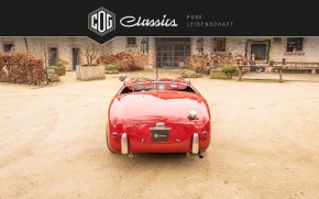 Siata Daina Grand Sport Barchetta 16
