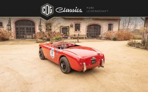 Siata Daina Grand Sport Barchetta 14