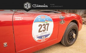 Siata Daina Grand Sport Barchetta 53