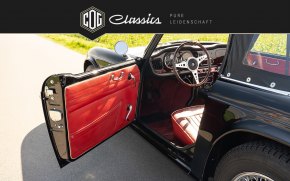 Triumph TR4 49