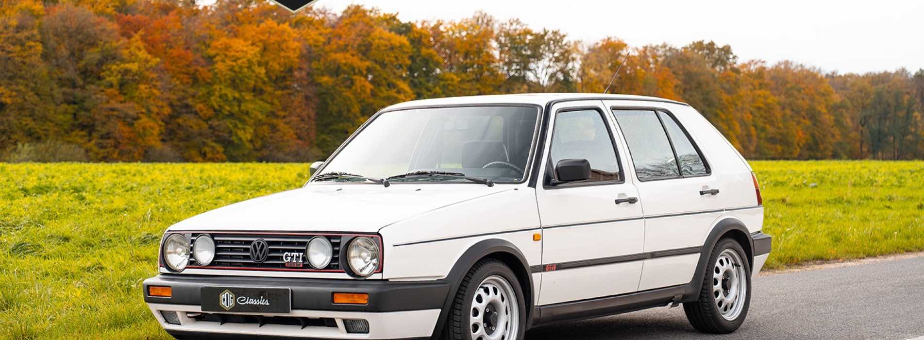 Volkswagen Golf GTI 16V 19