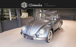Volkswagen Käfer Ovali 5
