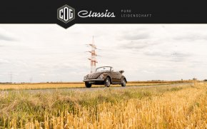 Volkswagen Käfer 1302 LS  4