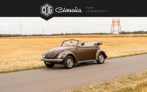 Volkswagen Käfer 1302 LS  13